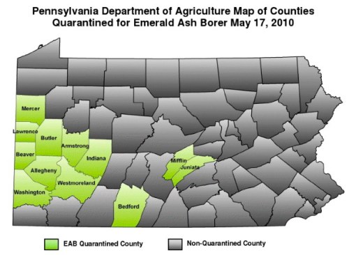 Emerald_ash_borer_sites_in_pa