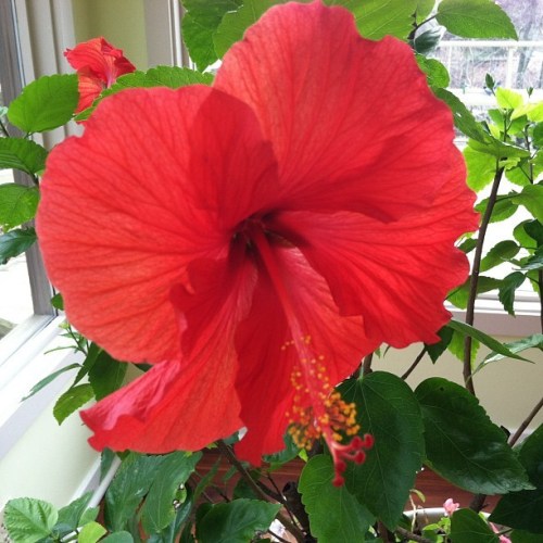 Media_httpdistilleryi_bwscz