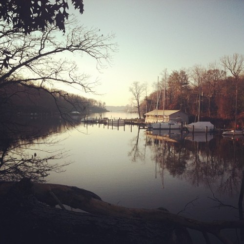 Media_httpdistilleryi_nfcln